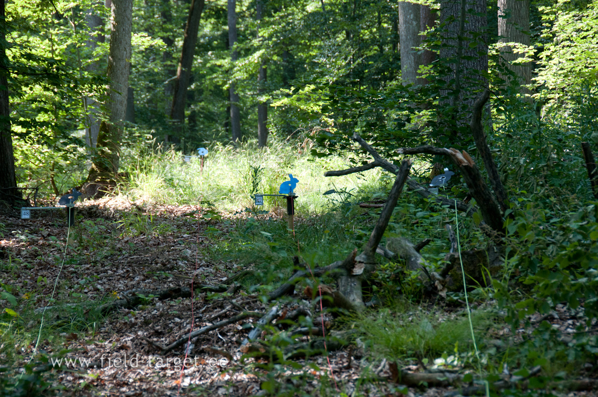 All targets shall be clearly numbered (per course from left to right) at both the target and the firing line.